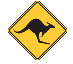 The Geographe Region Skippycoin ICG